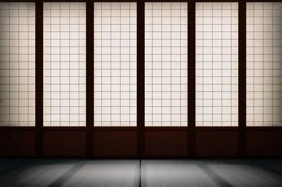 dark dojo - image licensed from Photodune