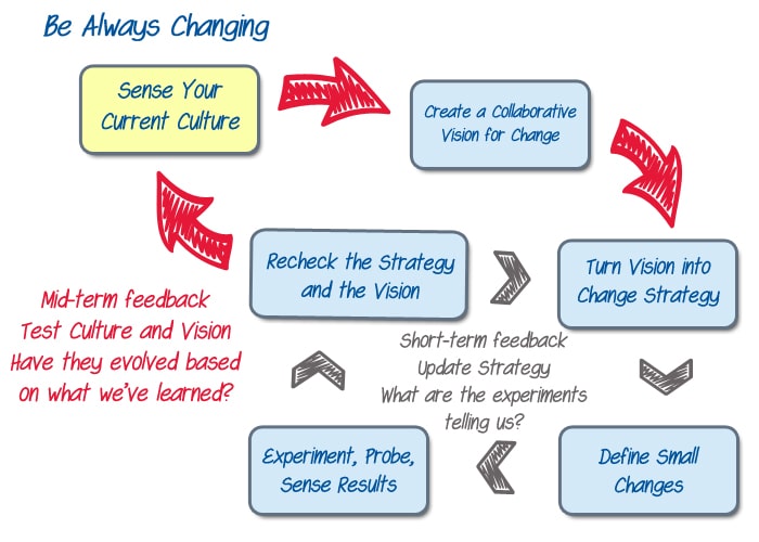 Be Always Changing - sense culture - image by Agile Pain Relief Consulting