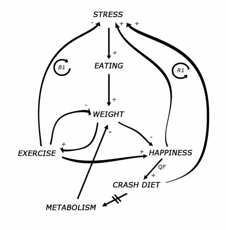 Causal Loop Diagram illustrating weight gain due to stress and rebalancing with exercise.