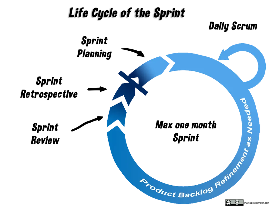 life cycle of the Scrum sprint - image by Agile Pain Relief Consulting
