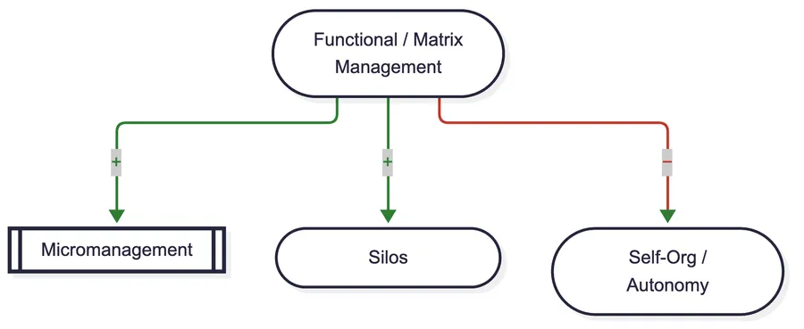 Causal loop diagram: functional or matrix management increases micromanagement and silos and reduces self-organization and autonomy