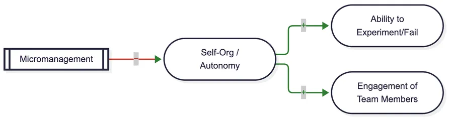 Causal loop diagram: micromanagement reduces self-organization and autonomy, which reduces team member engagement and the ability to experiment and fail
