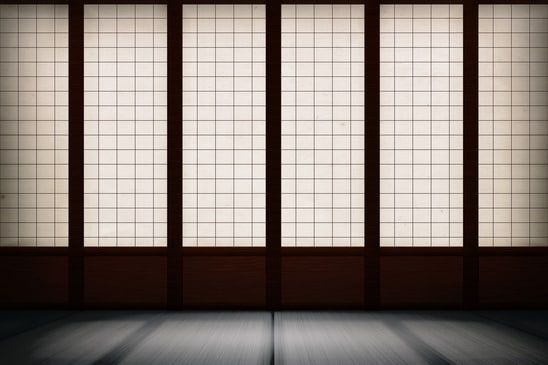 dark dojo - image licensed from Photodune