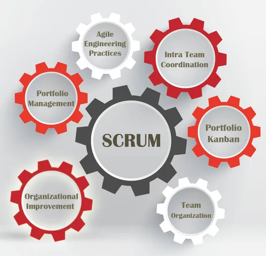Taking Organizational Improvement Seriously - Case Study