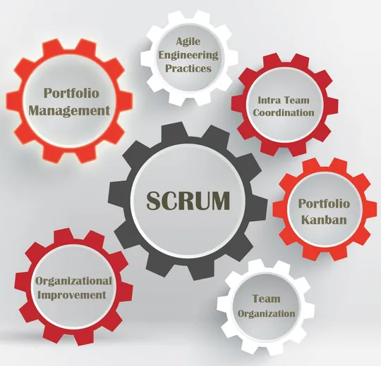 Portfolio Management Principles and Practice